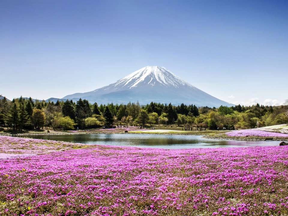 Japan Uncovered - 11 days - On The Go Tours - Japan - Image 4