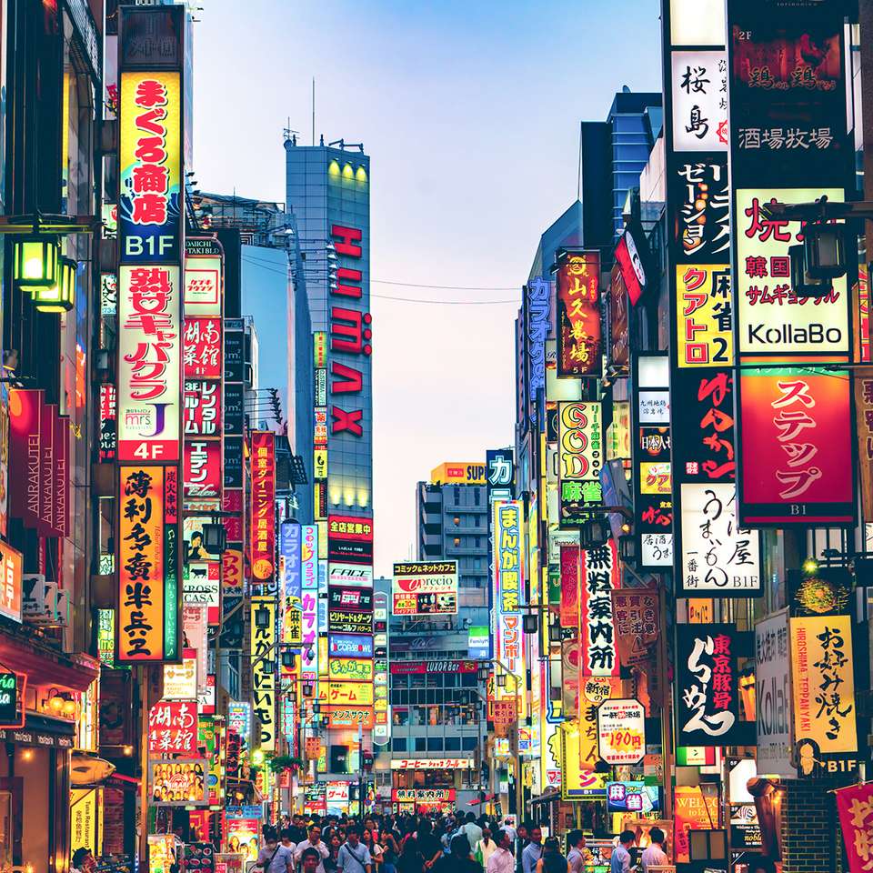 Japan Unrivalled - Contiki - Japan - Image 10