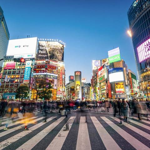 Asia Budget Tours: Japan Unrivalled 35 To 45