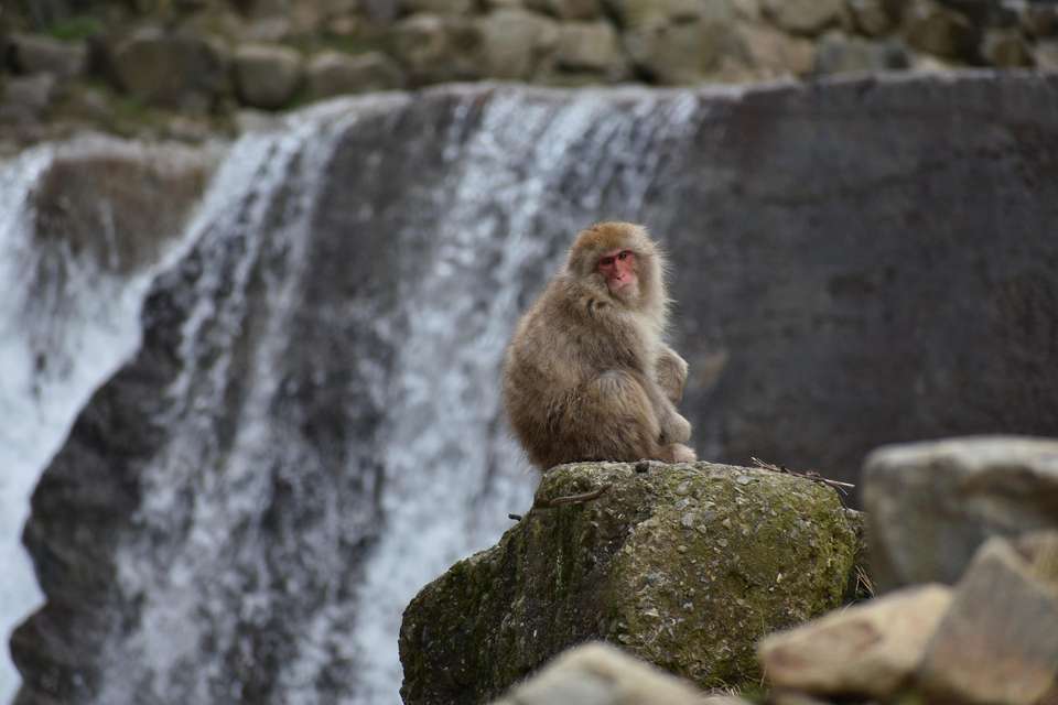 Image 10 of 12