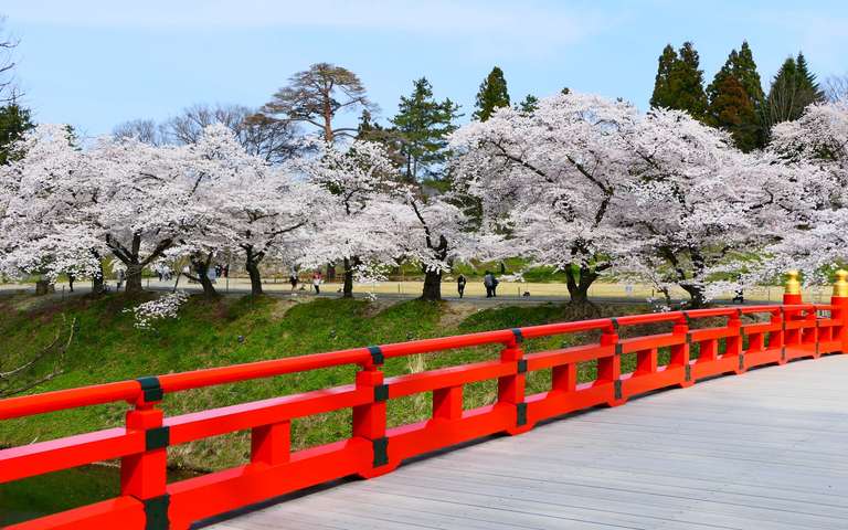 Japanese Scenes and Mount Fuji trip - alternative tour available