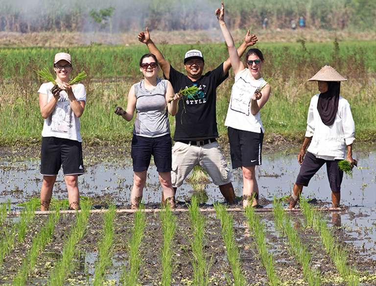 Java & Bali Explorer trip - alternative tour available