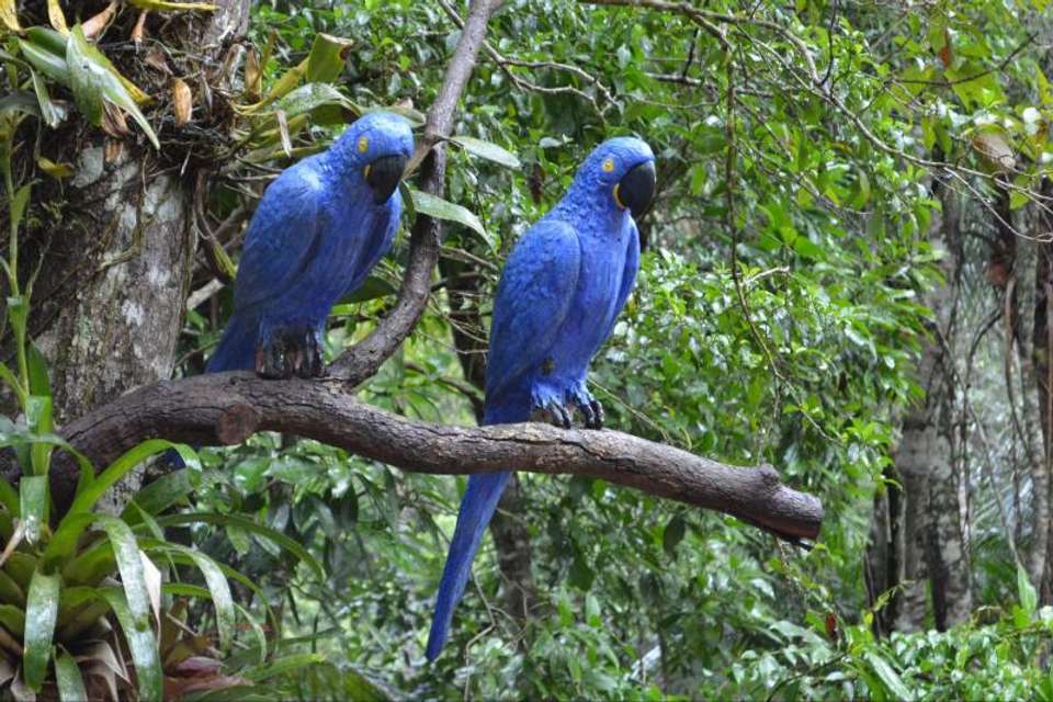 Jeep Tour 4 Wonders - Tangol Tours - Brazil - Image 6