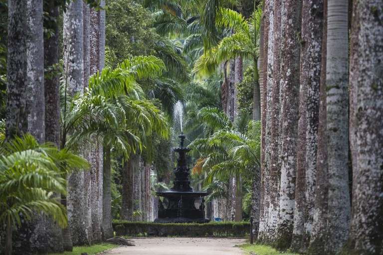Jeep Tour Botanical Garden And Tijuca Rain Forest trip - alternative tour available