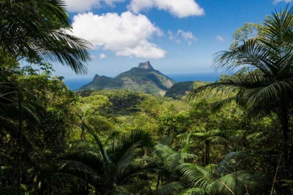 Jeep Tour Botanical Garden And Tijuca Rain Forest - Tangol Tours - Argentina - Image 2