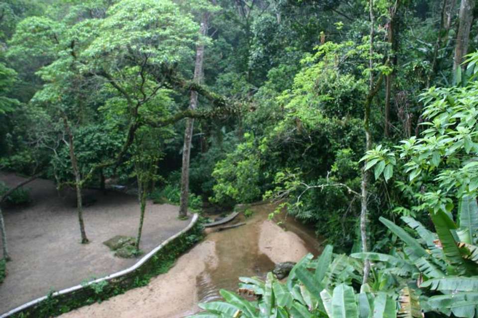 Jeep Tour Botanical Garden And Tijuca Rain Forest - Tangol Tours - Argentina - Image 4