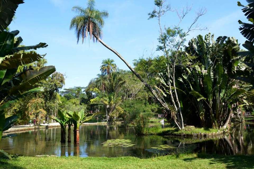 Jeep Tour Botanical Garden And Tijuca Rain Forest - Tangol Tours - Argentina - Image 6
