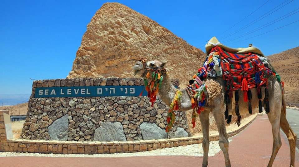 Jerusalem, Masada & Dead Sea Tour from Tel Aviv: Two Days - Bein Harim - Israel - Image 7
