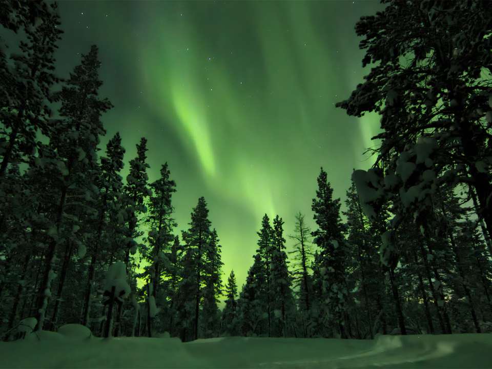 Jewels of Finnish Lapland - 5 days - On The Go Tours - Finland - Image 2