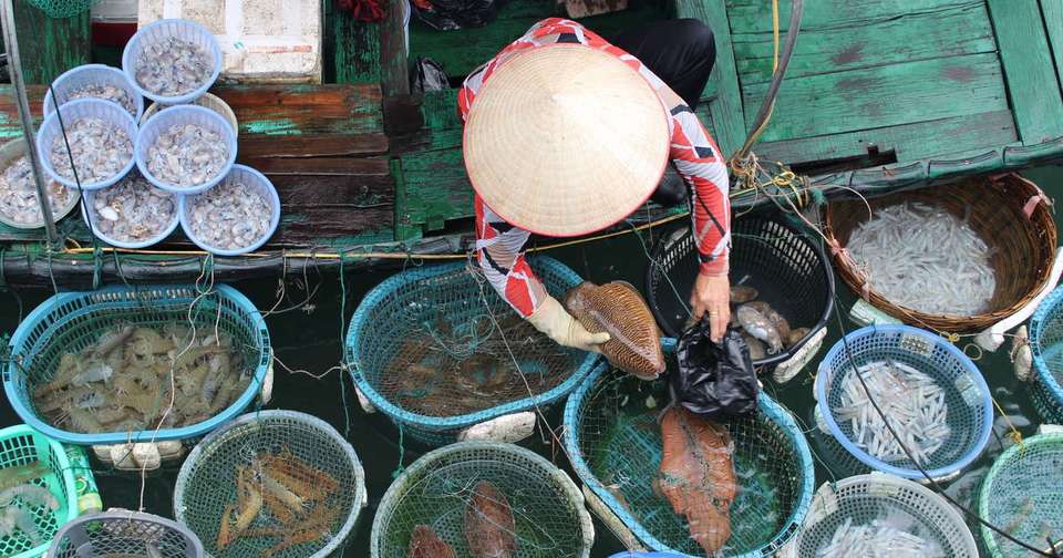 Jewels of Indochina - Explore - Laos