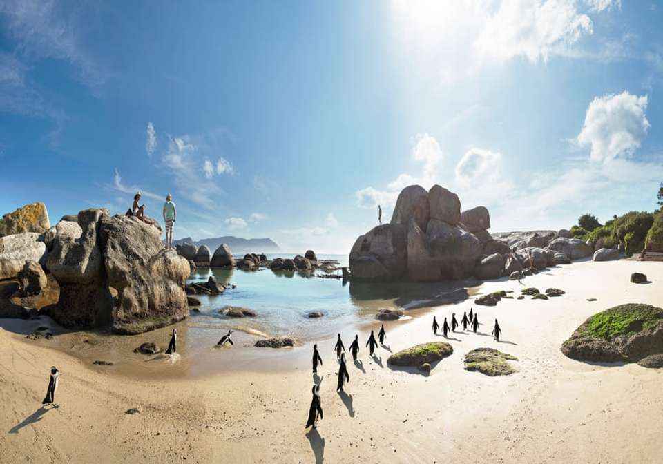 Jewels of South Africa - Indus Travels - South Africa - Image 6