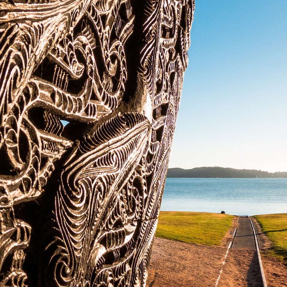 Jewels of the Bay - Aat Kings - New Zealand - Image 5
