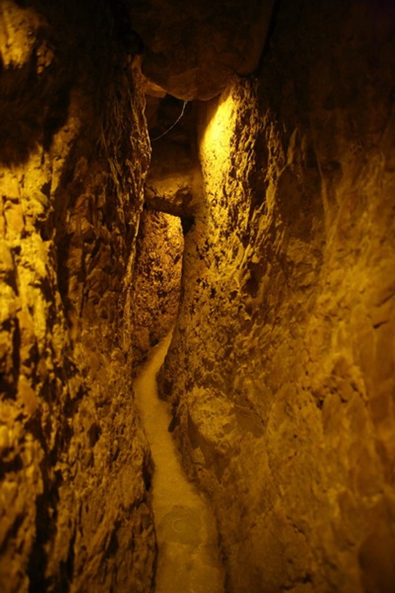 Image 3 of 12