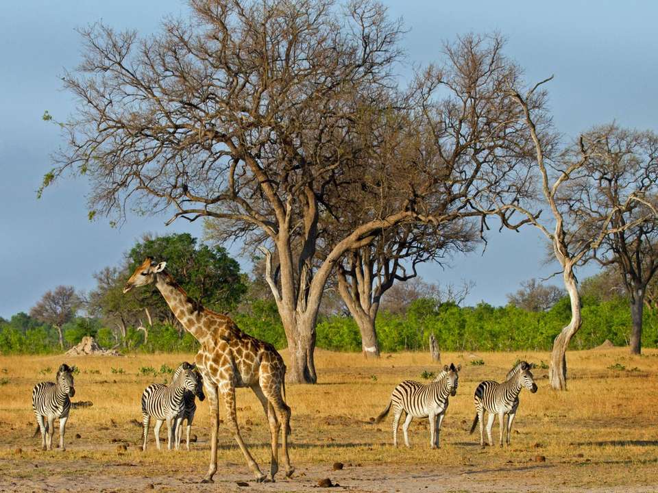 Joburg to Victoria Falls - 12 Days - On The Go Tours - South Africa - Image 6