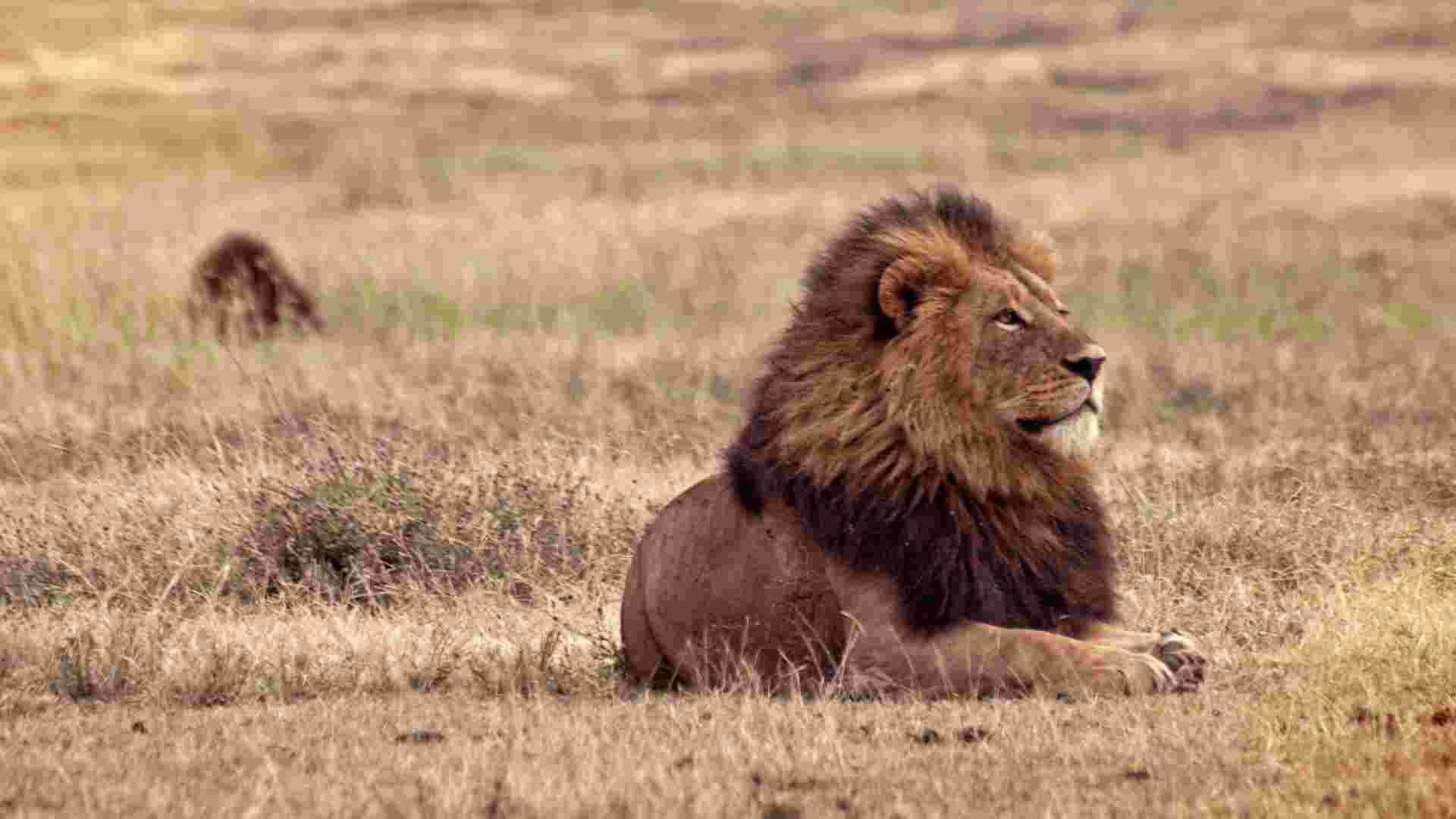 Johannesburg to East Africa Overland Safari & Participation Camping