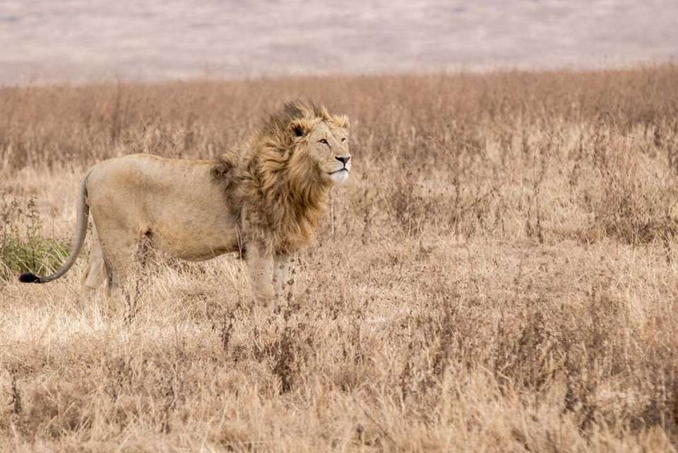 Johannesburg to Gorillas - Intrepid Travel - South Africa - Image 17