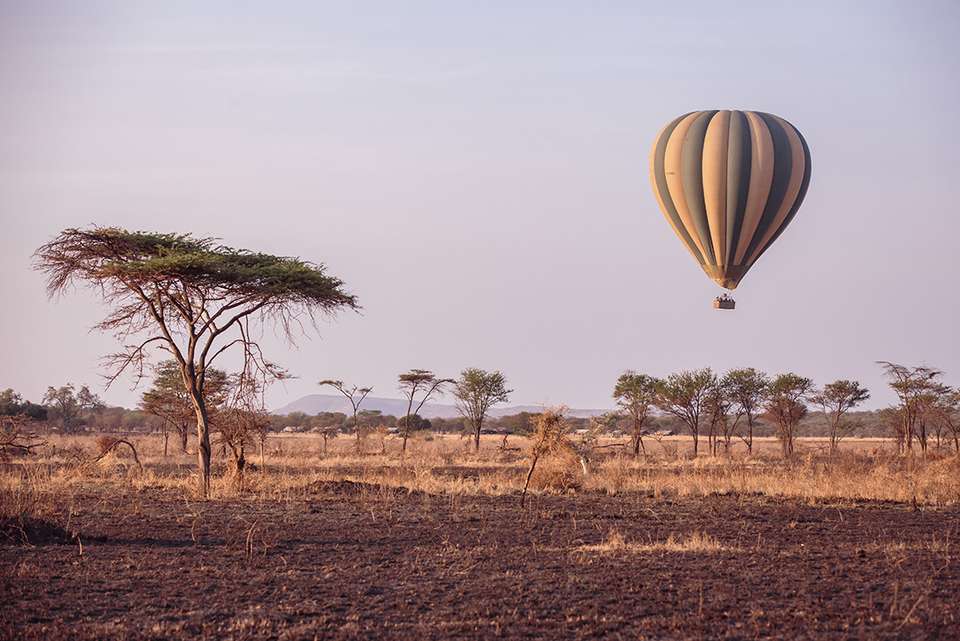 Johannesburg to Kenya - Intrepid Travel - South Africa - Image 18