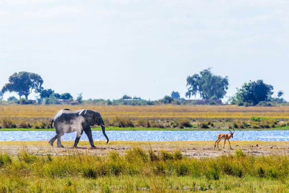 Johannesburg to Kenya - Intrepid Travel - South Africa - Image 17