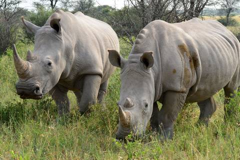 Dar Es Salaam National Parks Tour: Johannesburg To Zanzibar