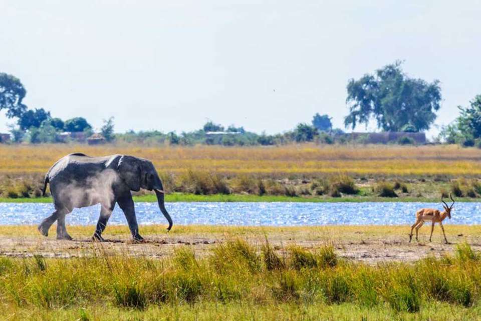 Johannesburg to Zanzibar - Intrepid Travel - South Africa - Image 2