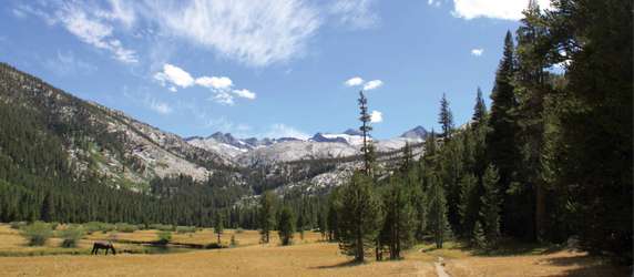 Image 3 of 8