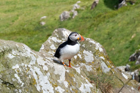Image 4 of 8