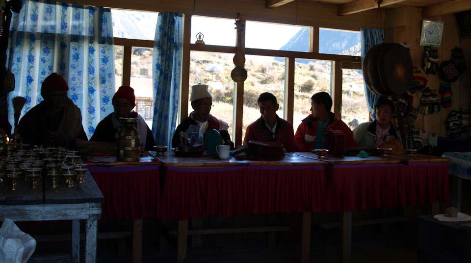 Joint Treks of Langtang and Poon Hill - 12 Days - Nepal Lion Tours And Treks Pvt Ltd - Nepal