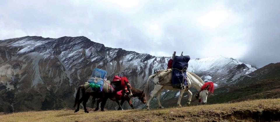 Jomolhari Base Camp Trek - World Expeditions - Bhutan - Image 2