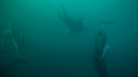 Image 4 of 14