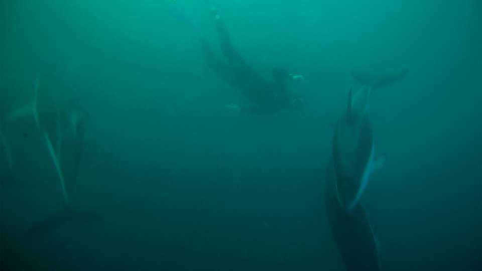 Image 1 of 23