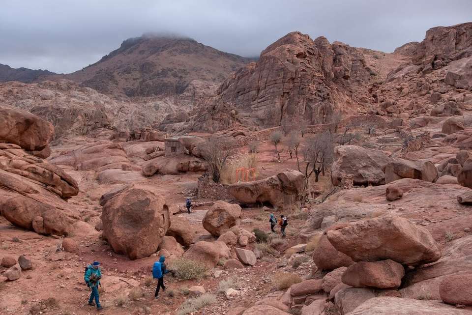 Jordan & Egypt Uncovered - Intrepid Travel - Jordan - Image 3