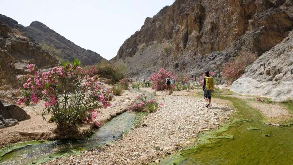Jordan Encounters - Encounters Travel - Jordan - Image 6