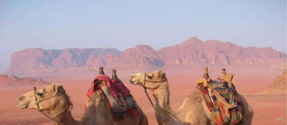 Jordan Highlights - World Expeditions - Jordan - Image 7