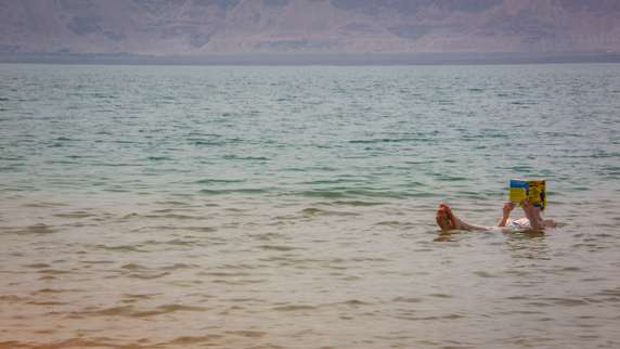 Image 4 of 16