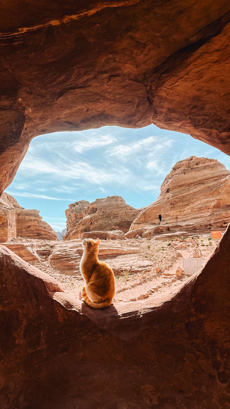 Jordan Uncovered - Trutravels - Jordan - Image 5
