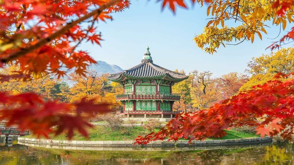 Journey from Seoul to Kyoto - Indus Travels - South Korea