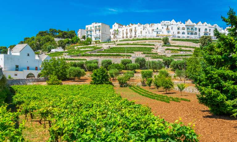 Journey through Puglia to Matera trip - alternative tour available