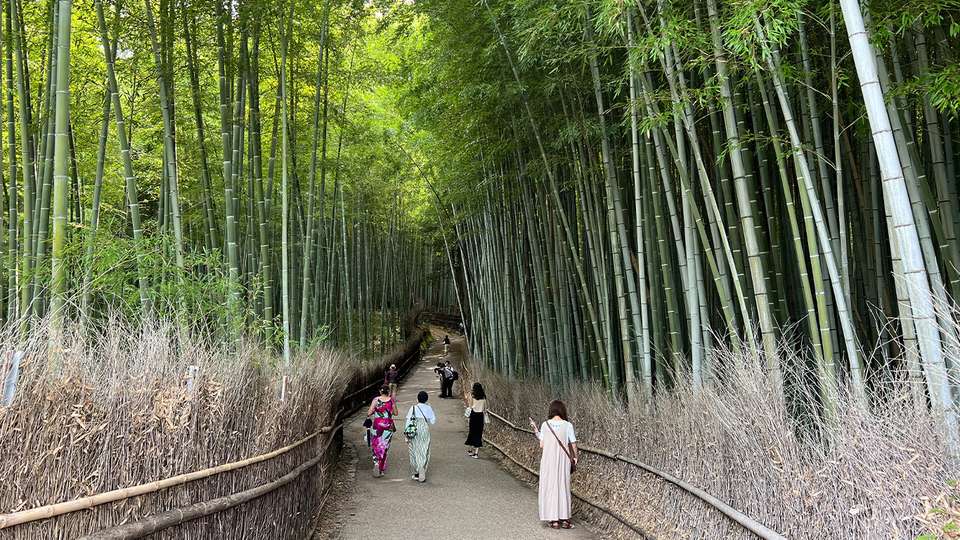 Journey Through the Heart of Japan: Tokyo to Osaka - Collette Tours - Japan - Image 1