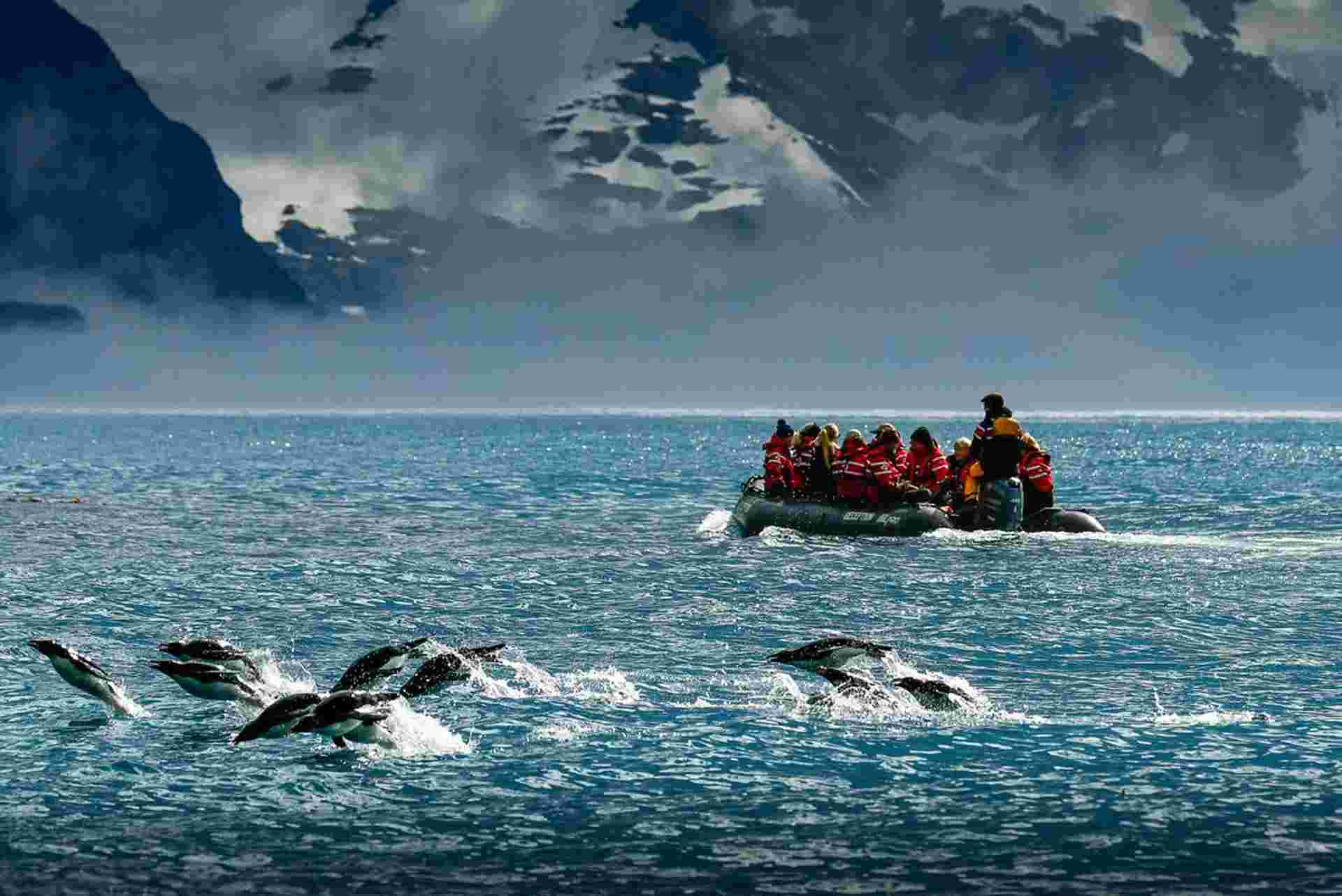 Journey to the Antarctic Circle