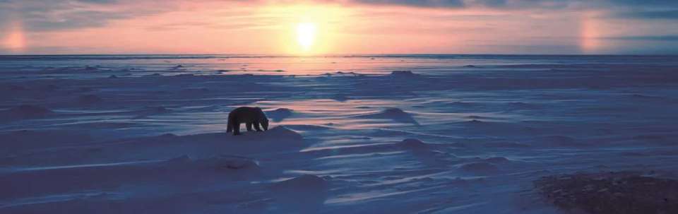 Journey to the Geographical North Pole - Le Commandant Charcot - undefined - Image 4