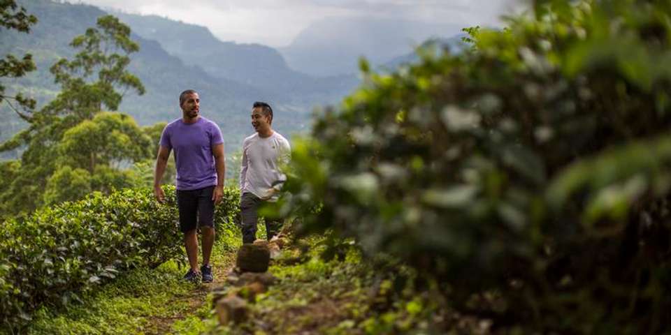 Journeys: Discover Sri Lanka - G Adventures - Sri Lanka - Image 14