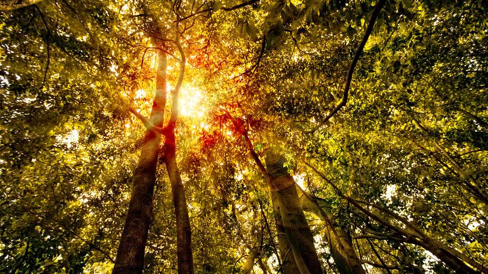 Journeys: Explore Costa Rica - G Adventures - Costa Rica - Image 9