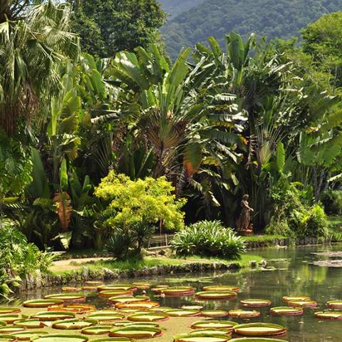 Journeys: Explore South America