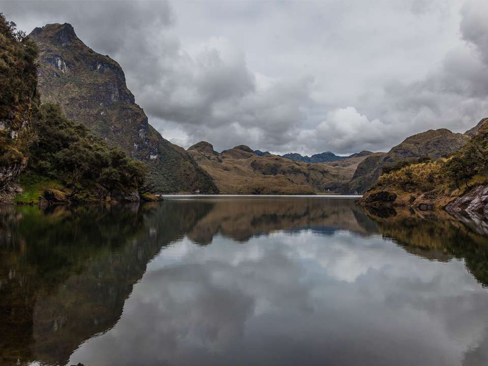 Image 8 of 14