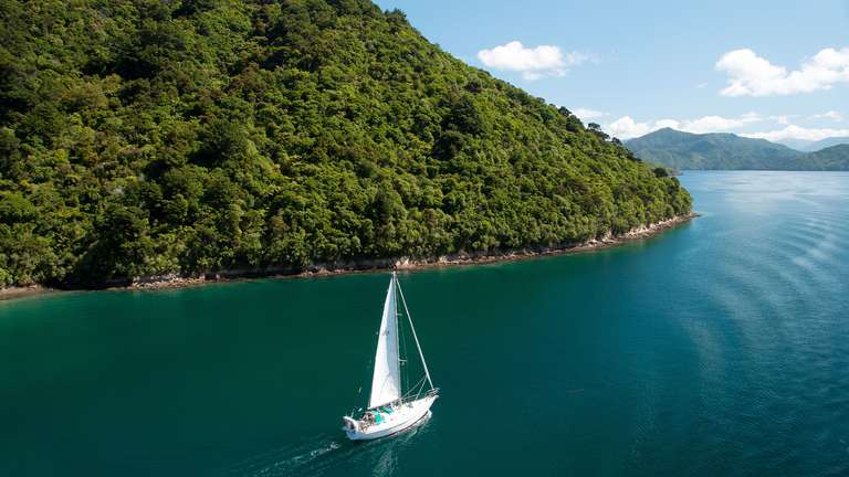 Auckland Explorer Tour: Journeys: Iconic Australia and New Zealand