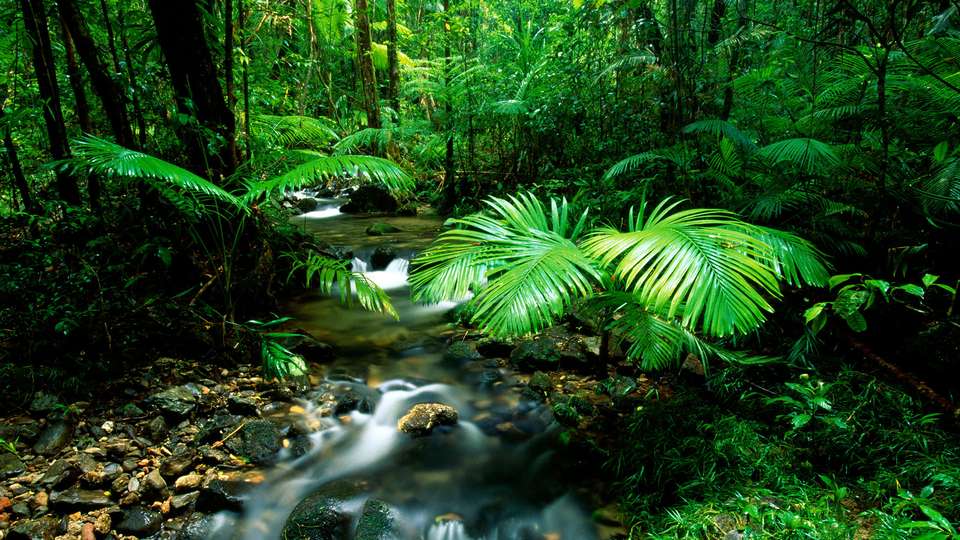 Journeys: Iconic Australia and New Zealand - G Adventures - New Zealand