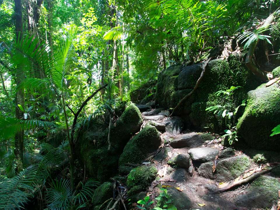 Journeys: Iconic Australia and New Zealand - G Adventures - New Zealand