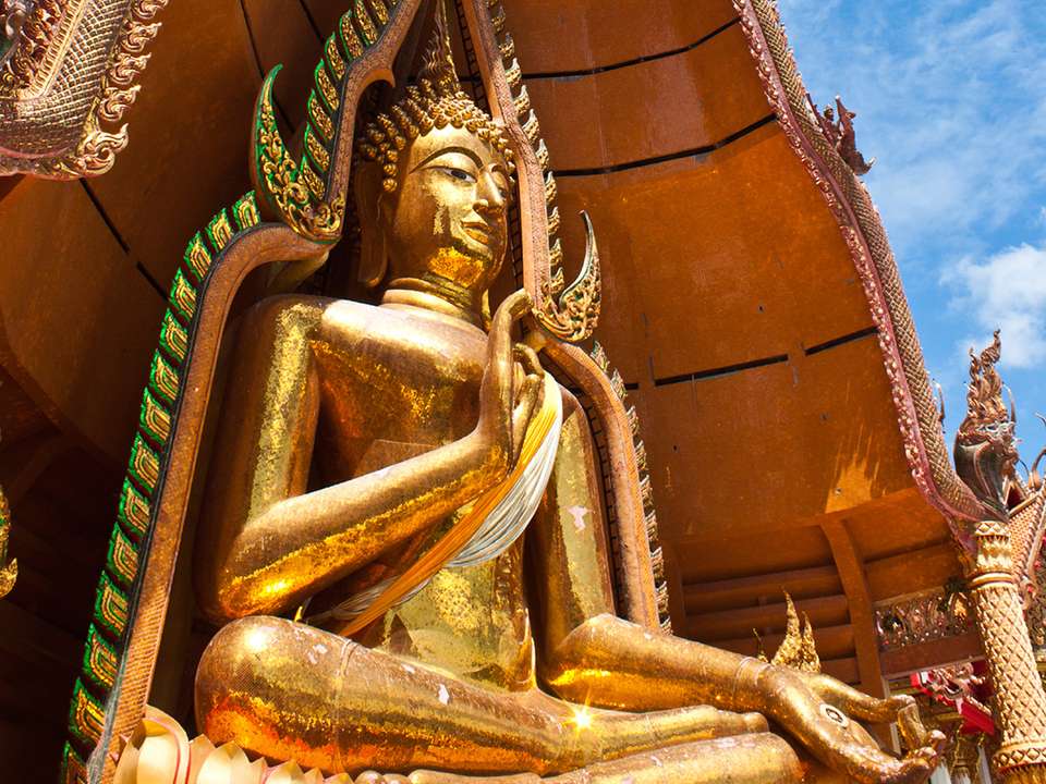 Image 3 of 24