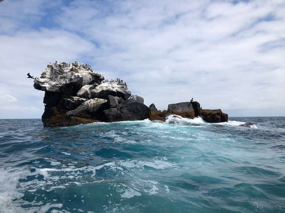 Image 6 of 23