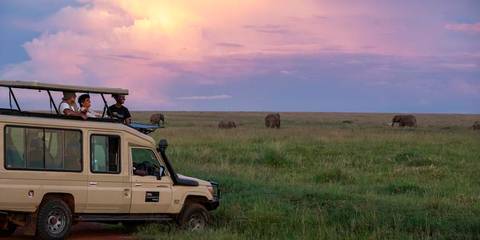 Adventure And Sport Tour: Journeys: Tanzania Safari Experience